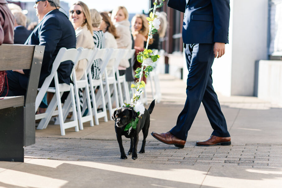 Jenny and John's Dog